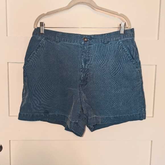 Vintage Patagonia teal cotton shorts size 36. Women's shorts.
